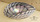 yalos shell centrotavola 44 cm grigio